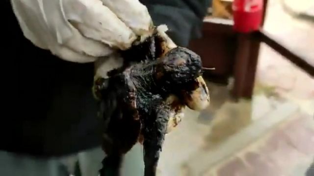 КРУПНЕЙШАЯ ЭКОЛОГИЧЕСКАЯ КАТАСТРОФА В ИЗРАИЛЕ