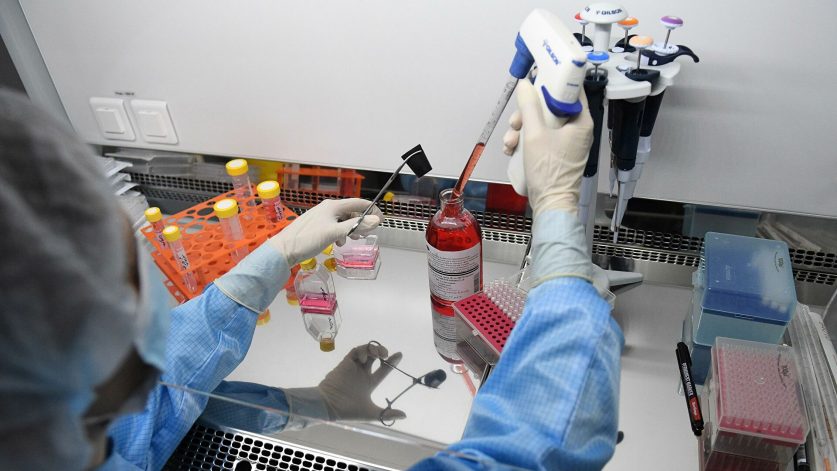 В «Сколково» начнут испытания новой вакцины от коронавируса