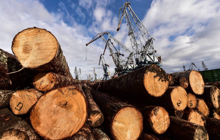 Таможенники Хабаровска выявили контрабанду лесоматериалов