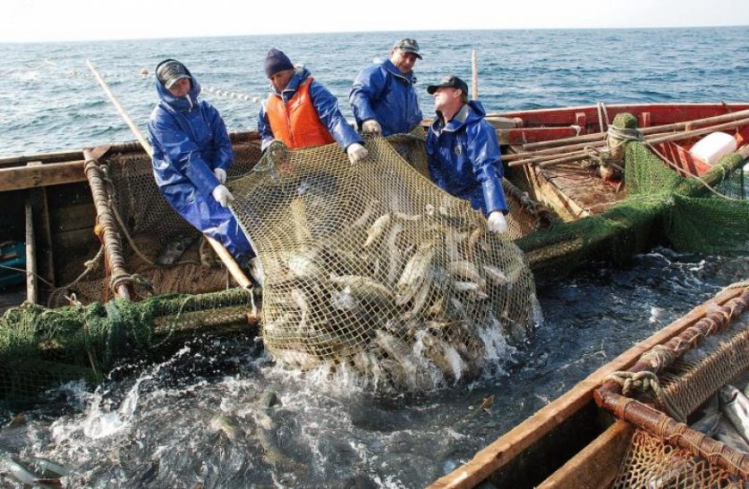 Рыбопромышленники и представители КМНС пришли к согласию