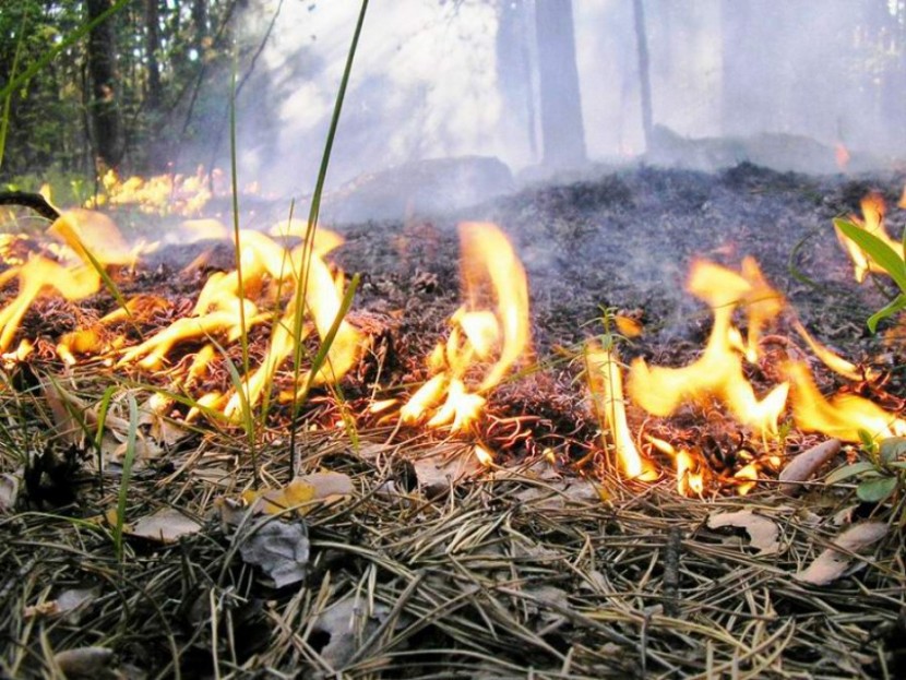 Пожары в Хабаровском крае