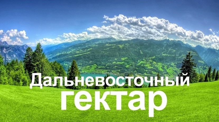 Дальневосточный гектар