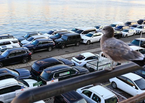 Татьяна Меель/РИА «Новости»