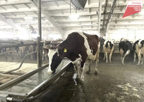 Фото: Пресс-служба министерства экономического развития края