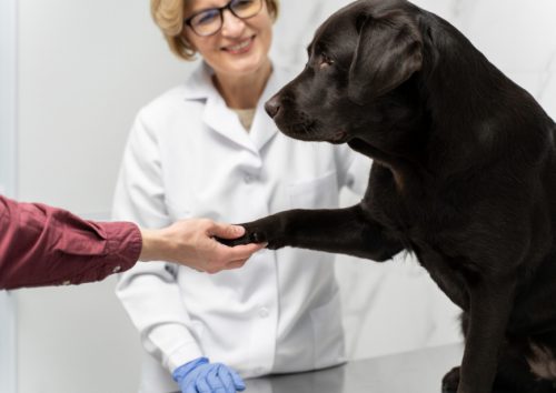 Фото: freepik.com