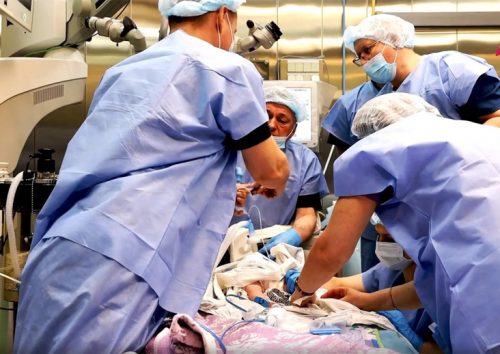 Фото: МНТК "Микрохирургия глаза"